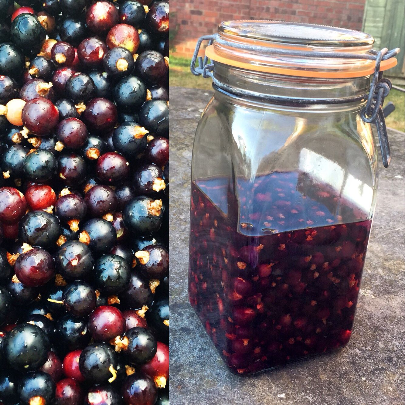 Exploring The Rich History And Versatility Of Cassis Blackcurrant Exploring The Rich History And Versatility Of Cassis Blackcurrant