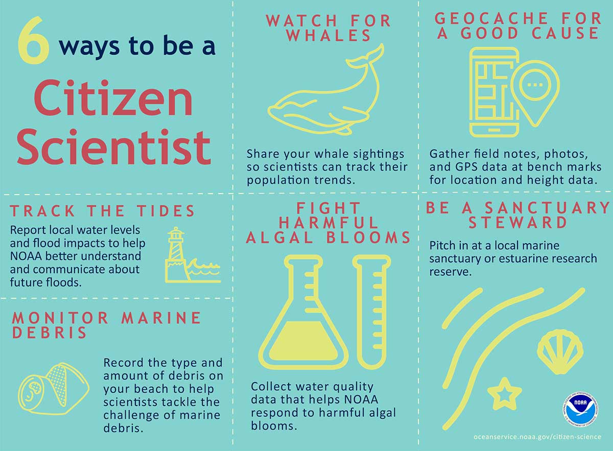 Exploring Whidbey Clams: A Citizen Science Approach Exploring Whidbey Clams: A Citizen Science Approach