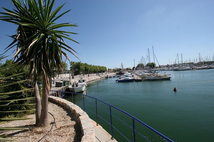 Festival De La Camargue À Port-Saint-Louis-du-Rhône : Un Programme Maritime Festival De La Camargue À Port-Saint-Louis-du-Rhône : Un Programme Maritime