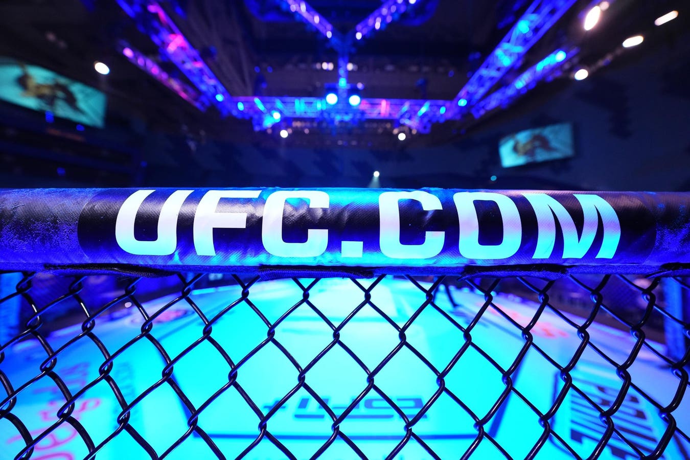 Fighter Admits Defeat At UFC 313, Validates Robbery Accusations Fighter Admits Defeat At UFC 313, Validates Robbery Accusations