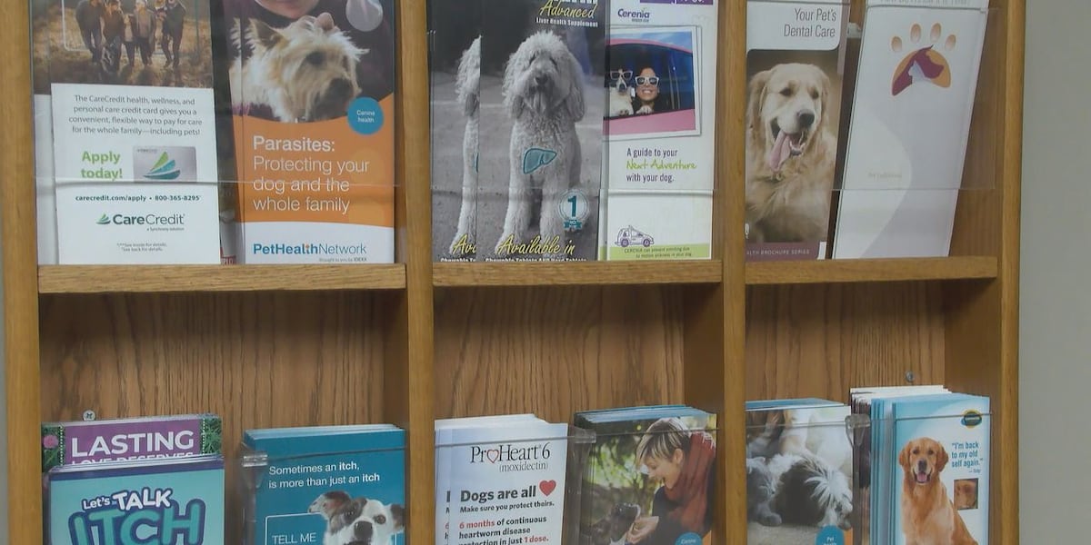 Financial Strain On Veterinary Practices: Vets Speak Out To The BBC