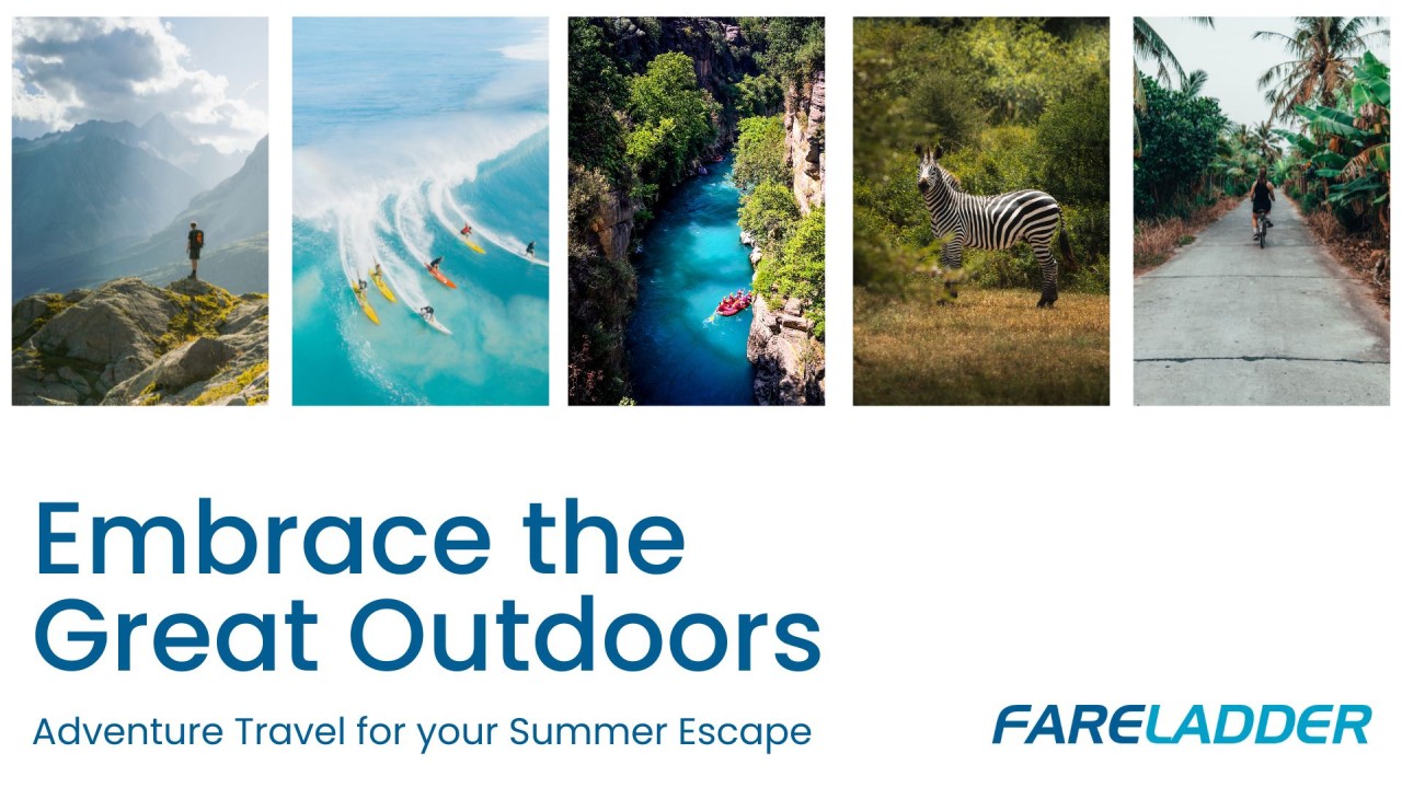 Flights: Where Fun Takes Flight - Plan Your Next Adventure Flights: Where Fun Takes Flight - Plan Your Next Adventure
