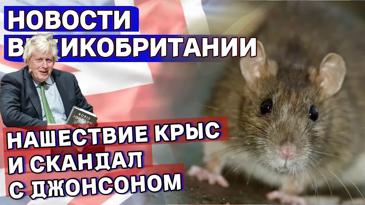 Фотографии С Борисом Джонсоном Стали Платными: Детали Скандала Фотографии С Борисом Джонсоном Стали Платными: Детали Скандала