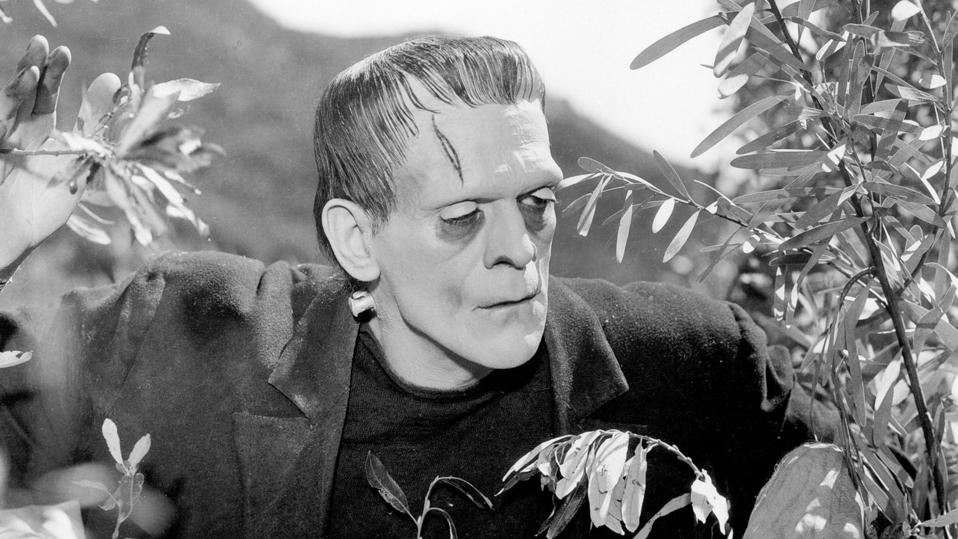 Frankenstein (2023): Del Toro's Netflix Film - Horror Or Not?