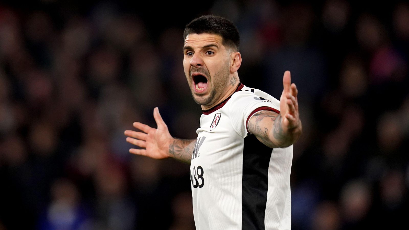 Fulham's Nigerian Players Eye FA Cup Victory In Quarter-Finals Fulham's Nigerian Players Eye FA Cup Victory In Quarter-Finals