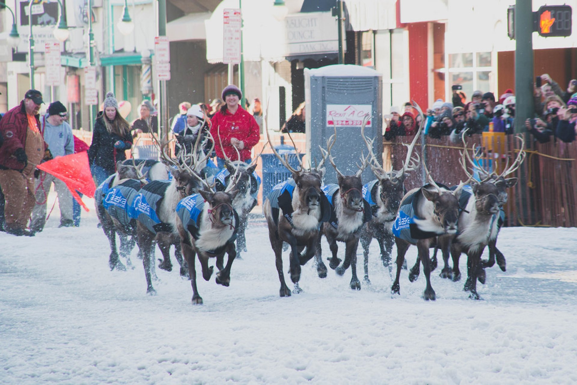 Fur Rondy's Condensed Race: The Endurance Of Mushers And Their Teams Fur Rondy's Condensed Race: The Endurance Of Mushers And Their Teams