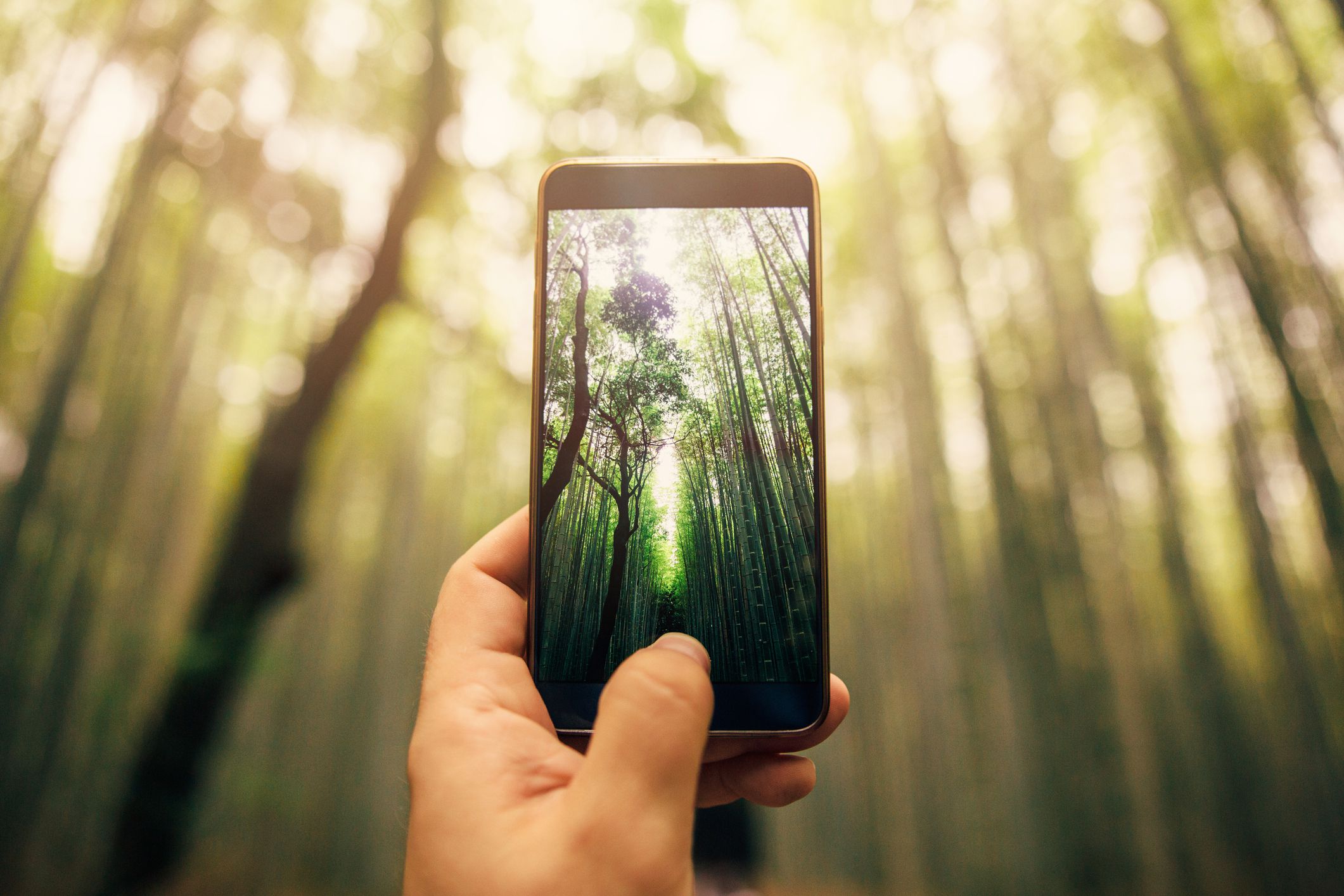 Gen Z And Smartphones: Android's Design Refresh And IPhone Loyalty Gen Z And Smartphones: Android's Design Refresh And IPhone Loyalty