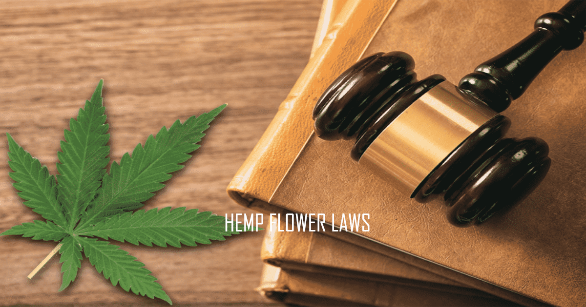 Georgia Hemp Laws Explained: A Guide To Legal Hemp Products Georgia Hemp Laws Explained: A Guide To Legal Hemp Products
