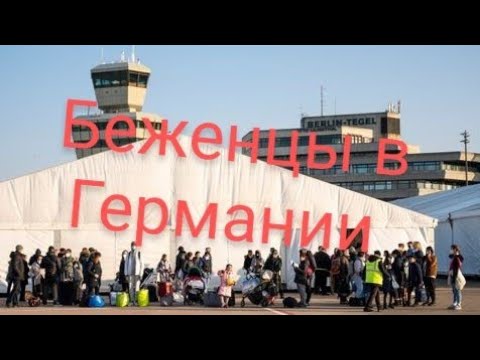 Германия: Риски Нового Волны Беженцев Из Украины После Действий США Германия: Риски Нового Волны Беженцев Из Украины После Действий США