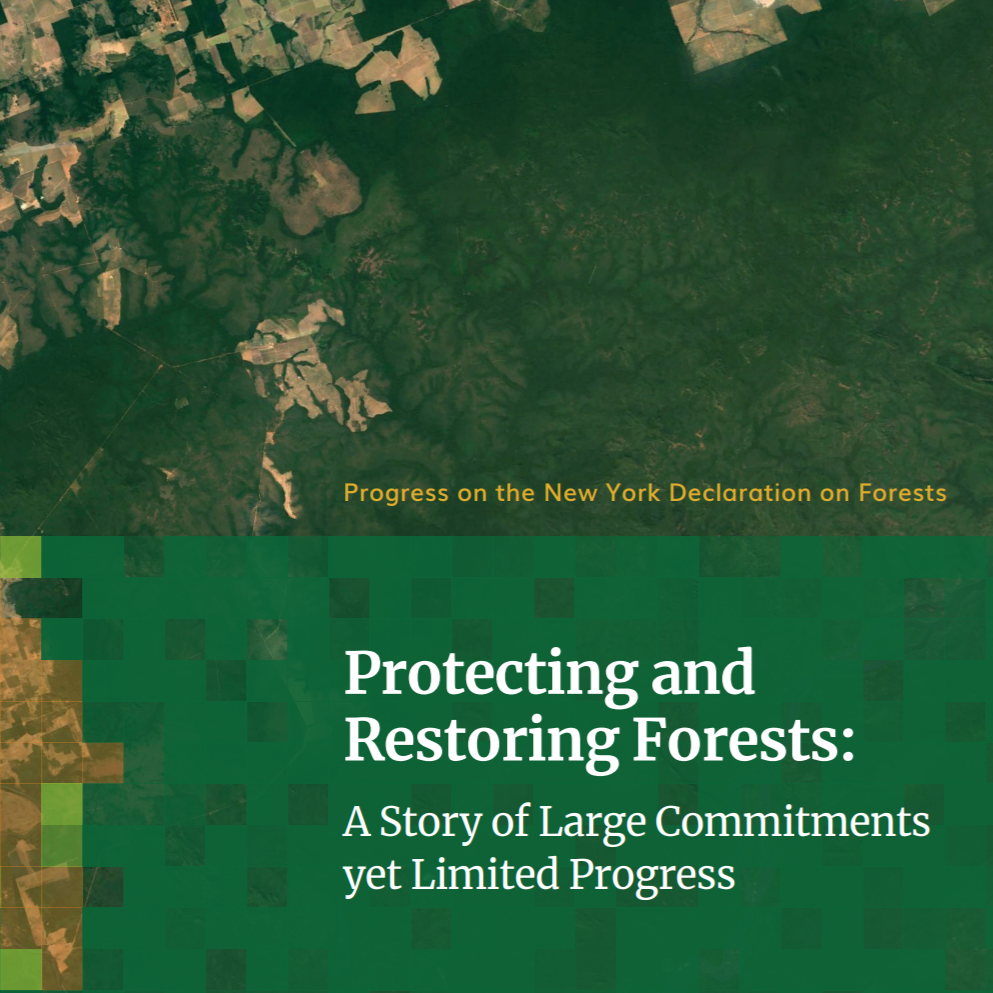 Global Deforestation Surges: Wildfires Exacerbate Record Forest Loss Global Deforestation Surges: Wildfires Exacerbate Record Forest Loss