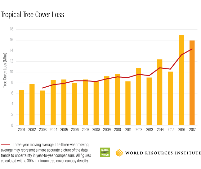 Global Forest Loss Reaches Record High: Wildfires Fuel The Destruction Global Forest Loss Reaches Record High: Wildfires Fuel The Destruction