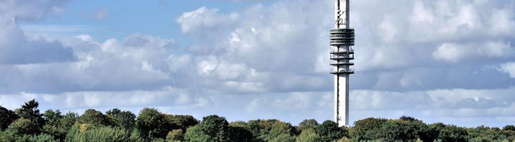 Hamer: Bruins Moet Met NPO Toezichthouder Praten Over Leeflang Hamer: Bruins Moet Met NPO Toezichthouder Praten Over Leeflang