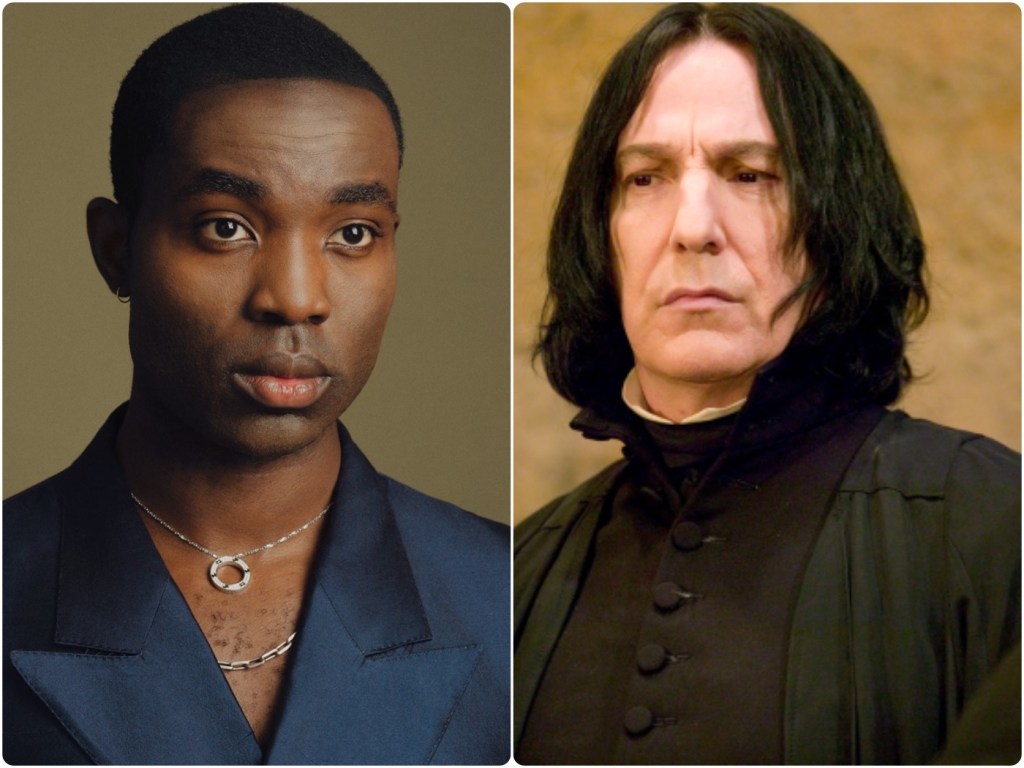 Harry Potter TV Series: Who Plays Dumbledore, Snape, Hagrid, And McGonagall? Harry Potter TV Series: Who Plays Dumbledore, Snape, Hagrid, And McGonagall?