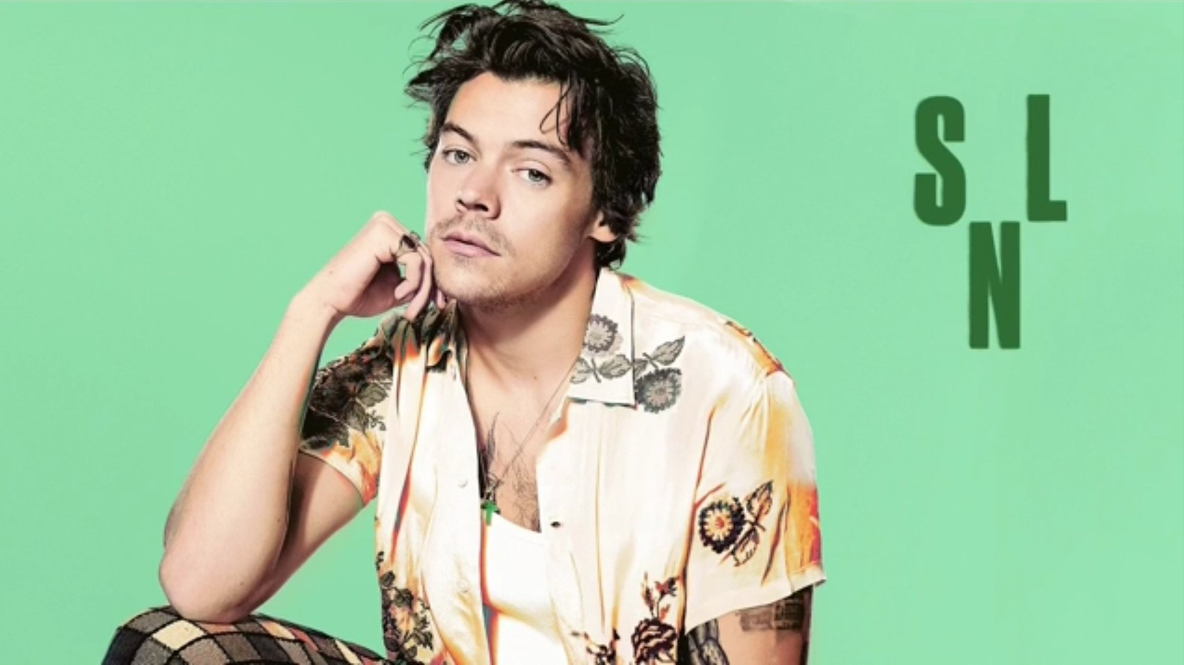 Harry Styles' Devastated Reaction To A Poor SNL Impression Harry Styles' Devastated Reaction To A Poor SNL Impression