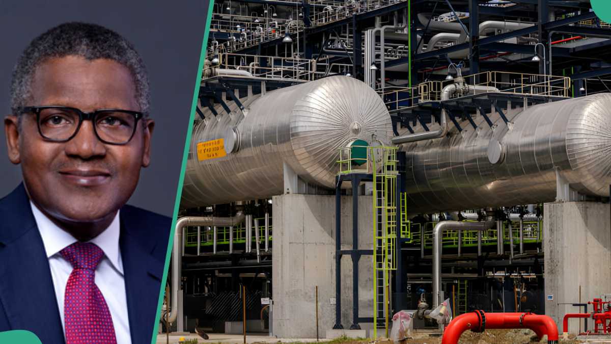 How Dangote And NNPC Shape Petrol Prices In Nigeria How Dangote And NNPC Shape Petrol Prices In Nigeria