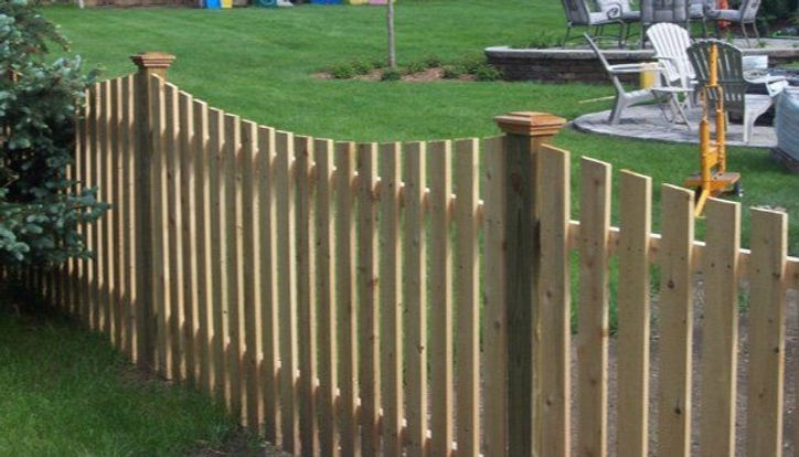 How To Plant And Maintain A Beautiful Living Fence How To Plant And Maintain A Beautiful Living Fence