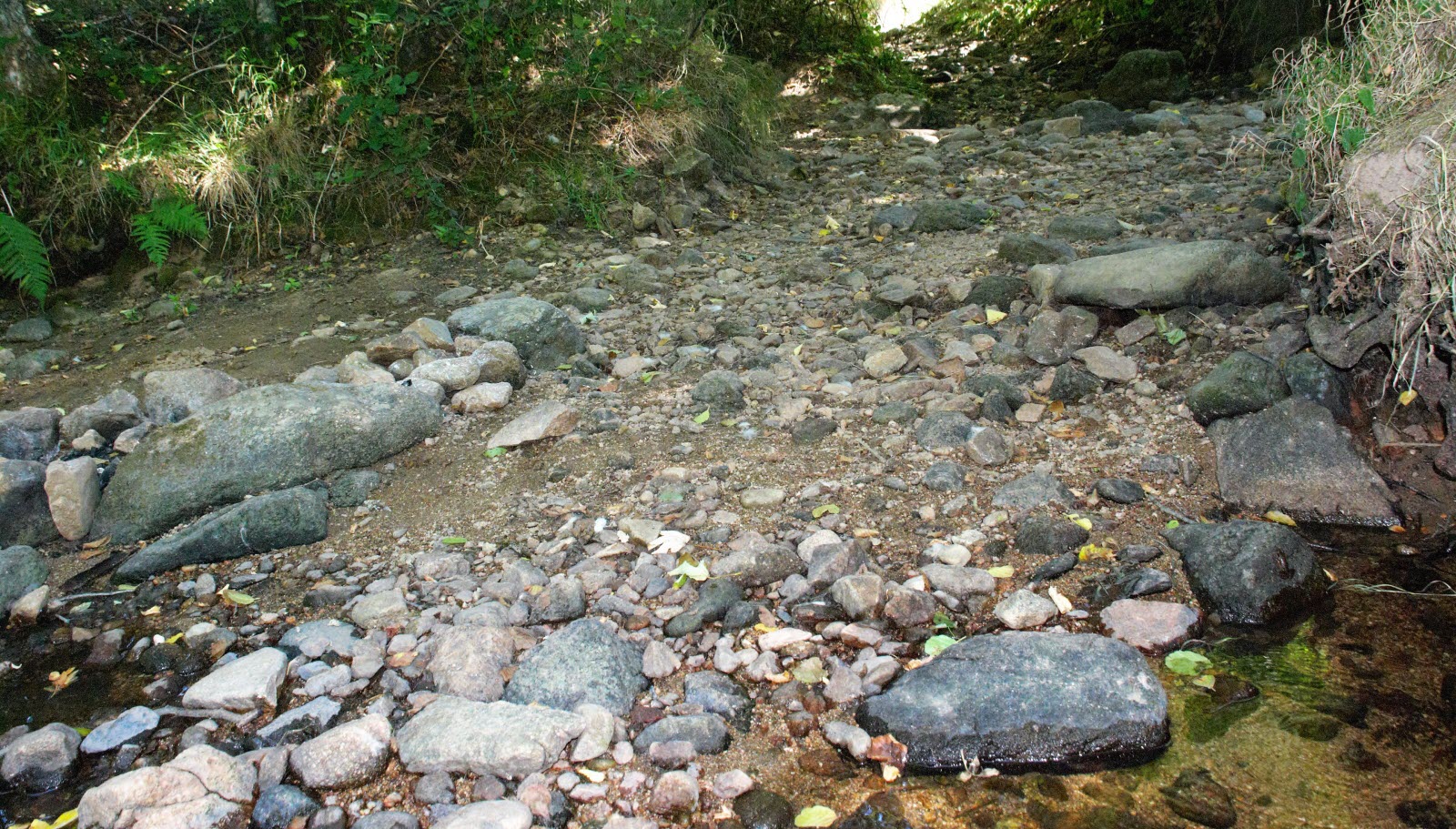 Impact Des Travaux D'ingénierie Castor Sur Deux Cours D'eau De La Drôme Impact Des Travaux D'ingénierie Castor Sur Deux Cours D'eau De La Drôme