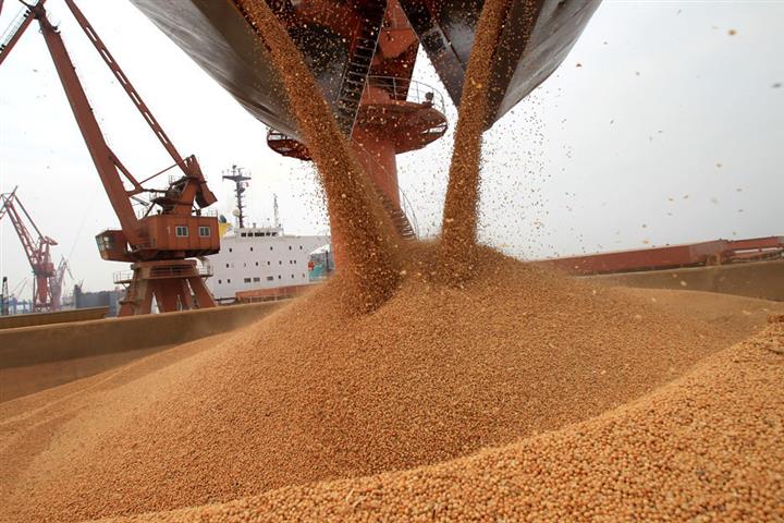 Imported Soybeans Auctioned By Sinograin Amidst China's Supply Shortage Imported Soybeans Auctioned By Sinograin Amidst China's Supply Shortage