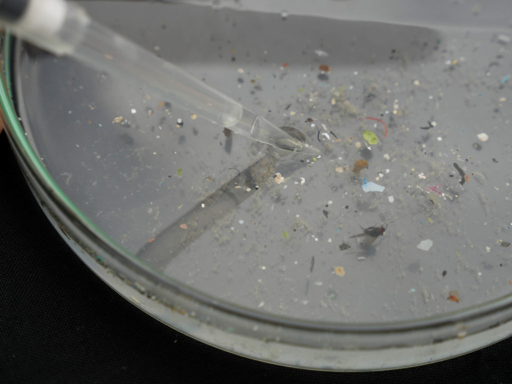 Indagine Sulla Concentrazione Di Microplastiche Nelle Acque Indagine Sulla Concentrazione Di Microplastiche Nelle Acque