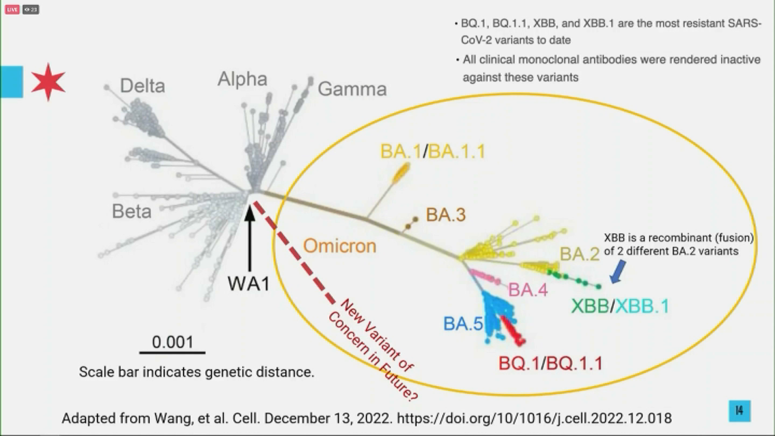 India Detects New COVID Variants BA.1 And LF.7: INSACOG's Findings And Public Health Implications India Detects New COVID Variants BA.1 And LF.7: INSACOG's Findings And Public Health Implications