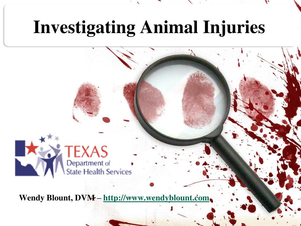 Investigating Veterinary Watchdog Allegations: Fact Vs. Fiction