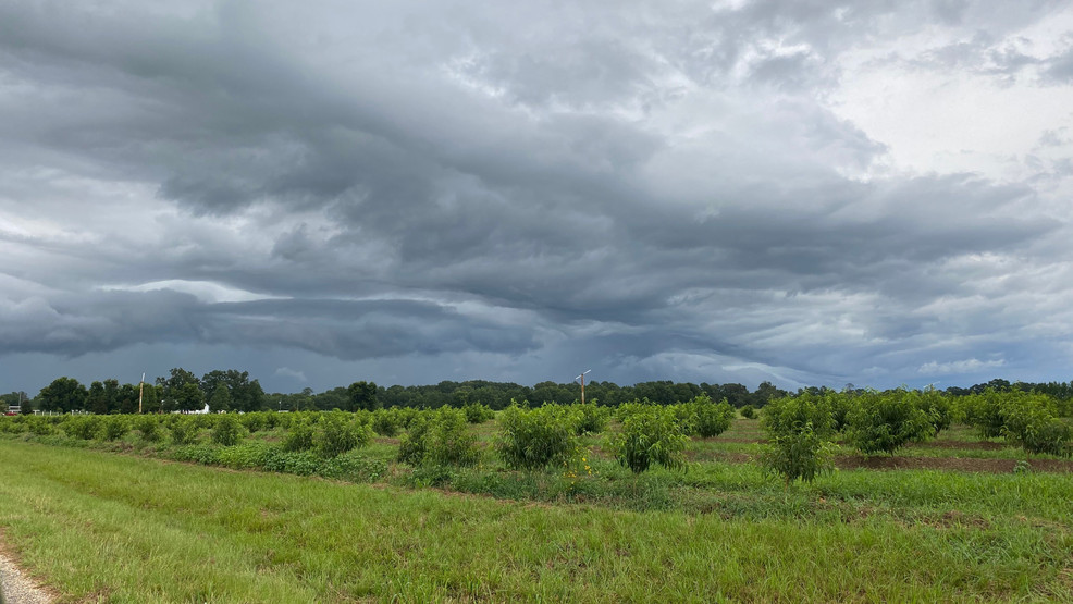 Is Drier Weather Really In Sight? A Look At The Forecast Is Drier Weather Really In Sight? A Look At The Forecast