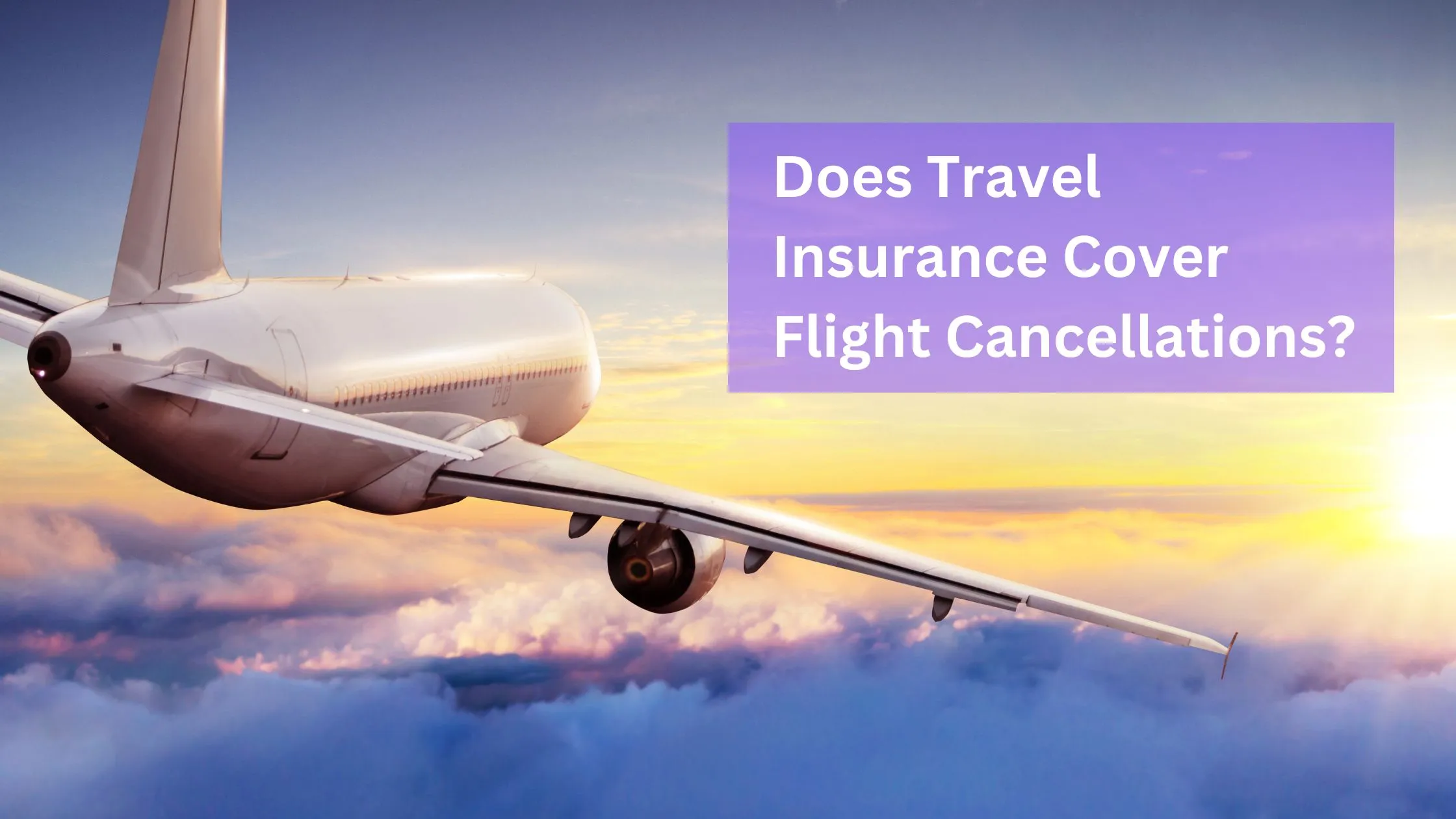JetBlue's Haiti Flight Cancellations: April Return Unlikely Due To Ongoing Instability JetBlue's Haiti Flight Cancellations: April Return Unlikely Due To Ongoing Instability