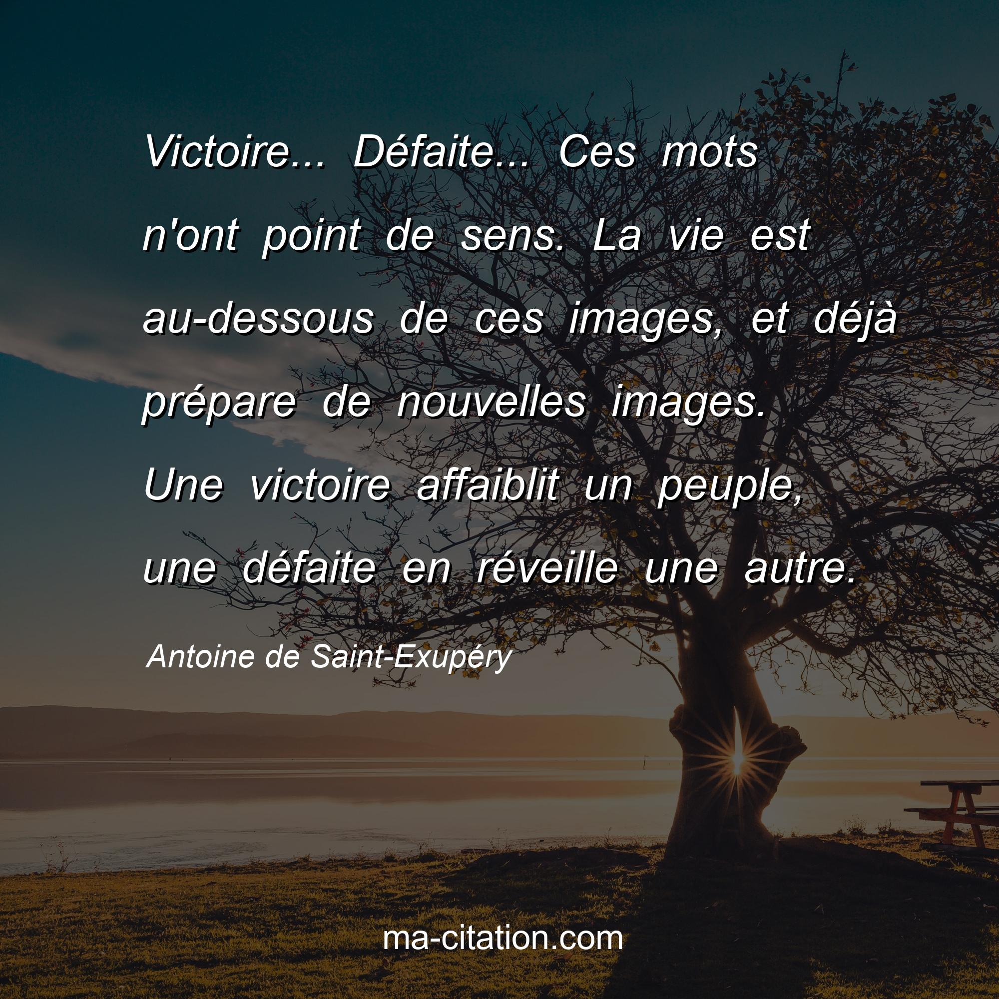 José Aldo: De La Défaite À La Victoire: Une Histoire D'Adaptation José Aldo: De La Défaite À La Victoire: Une Histoire D'Adaptation