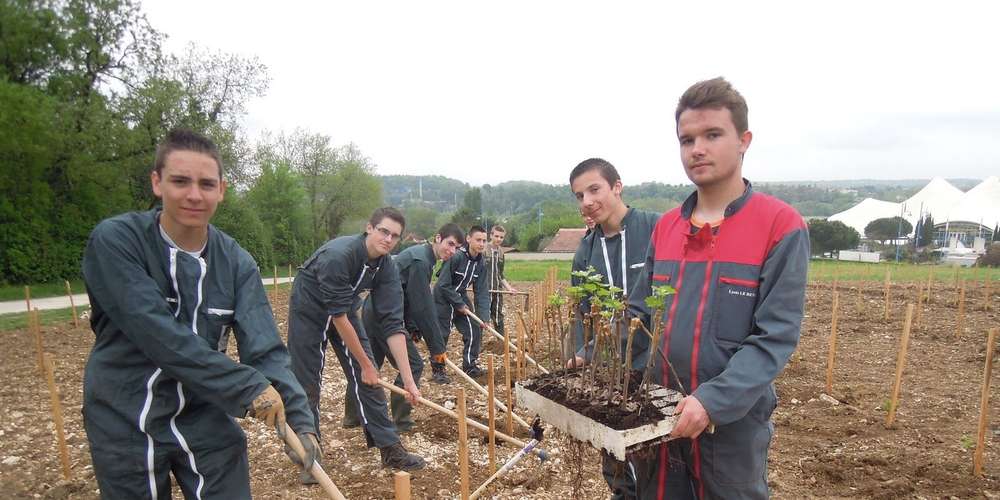 La Charentaise: L'histoire D'un Succès À Saint-Brieuc La Charentaise: L'histoire D'un Succès À Saint-Brieuc