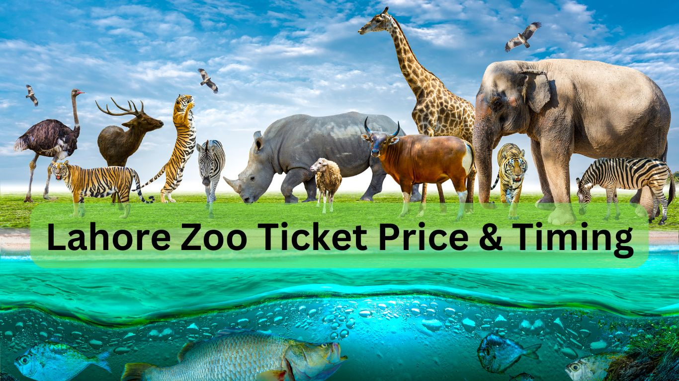 Lahore Zoo Ticket Price Hike: Clarification From Marriyum Aurangzeb Lahore Zoo Ticket Price Hike: Clarification From Marriyum Aurangzeb