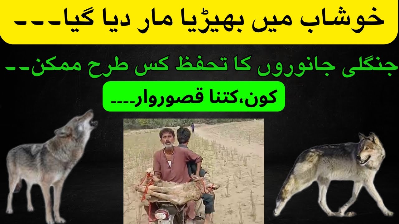 لاہور: نصف احتساب عدالتیں ختم، شہریوں کے حقوق کا تحفظ ممکن؟ لاہور: نصف احتساب عدالتیں ختم، شہریوں کے حقوق کا تحفظ ممکن؟