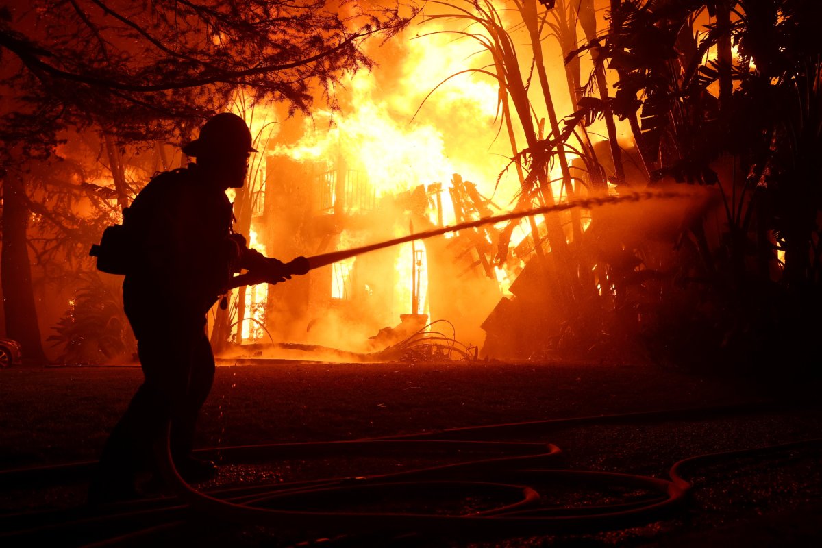 Los Angeles Palisades Fire: A Comprehensive List Of Celebrities Who Lost Homes Los Angeles Palisades Fire: A Comprehensive List Of Celebrities Who Lost Homes