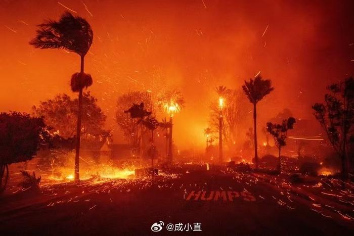 Los Angeles Palisades Fire: Impact On Celebrity Homes – Full List Los Angeles Palisades Fire: Impact On Celebrity Homes – Full List