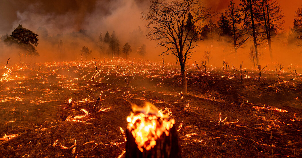 Los Angeles Wildfires: A Reflection Of Society Through The Lens Of Disaster Betting Los Angeles Wildfires: A Reflection Of Society Through The Lens Of Disaster Betting