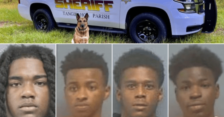 Louisiana Inmates' Ingenious Escape Plan: Hair Trimmers And A New Orleans Jail Louisiana Inmates' Ingenious Escape Plan: Hair Trimmers And A New Orleans Jail