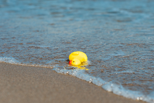 Massive Rubber Duck Encourages Water Safety In Myrtle Beach Massive Rubber Duck Encourages Water Safety In Myrtle Beach