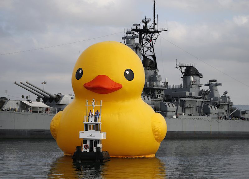 Massive Rubber Duck Installation: Myrtle Beach's Unique Attraction And Its Meaning Massive Rubber Duck Installation: Myrtle Beach's Unique Attraction And Its Meaning