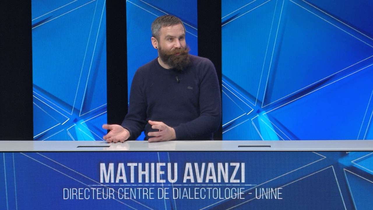 Mathieu Avanzi : Le Français, Une Langue Vivante Au-delà De L'école Mathieu Avanzi : Le Français, Une Langue Vivante Au-delà De L'école
