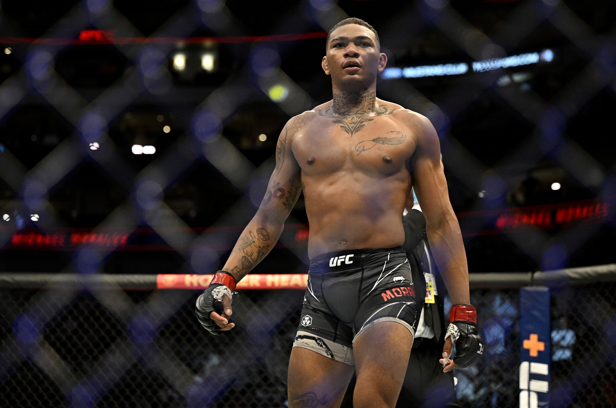 Michael Morales: Two UFC Performance Bonuses In A Row Michael Morales: Two UFC Performance Bonuses In A Row