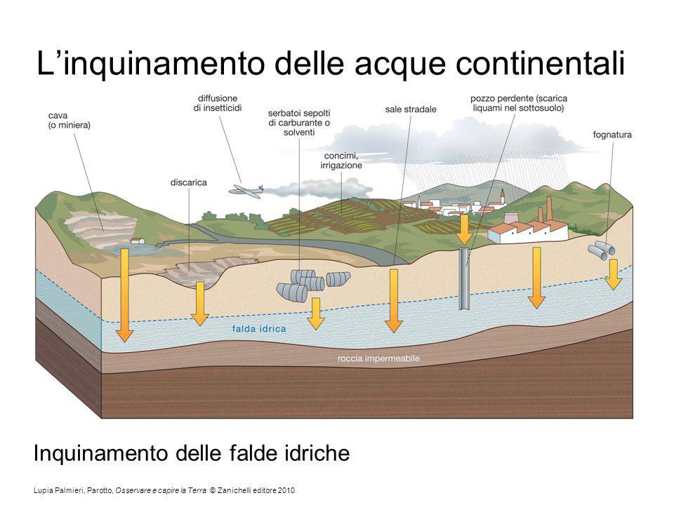 Microplastiche: In Quali Acque È Maggiore La Contaminazione? Microplastiche: In Quali Acque È Maggiore La Contaminazione?