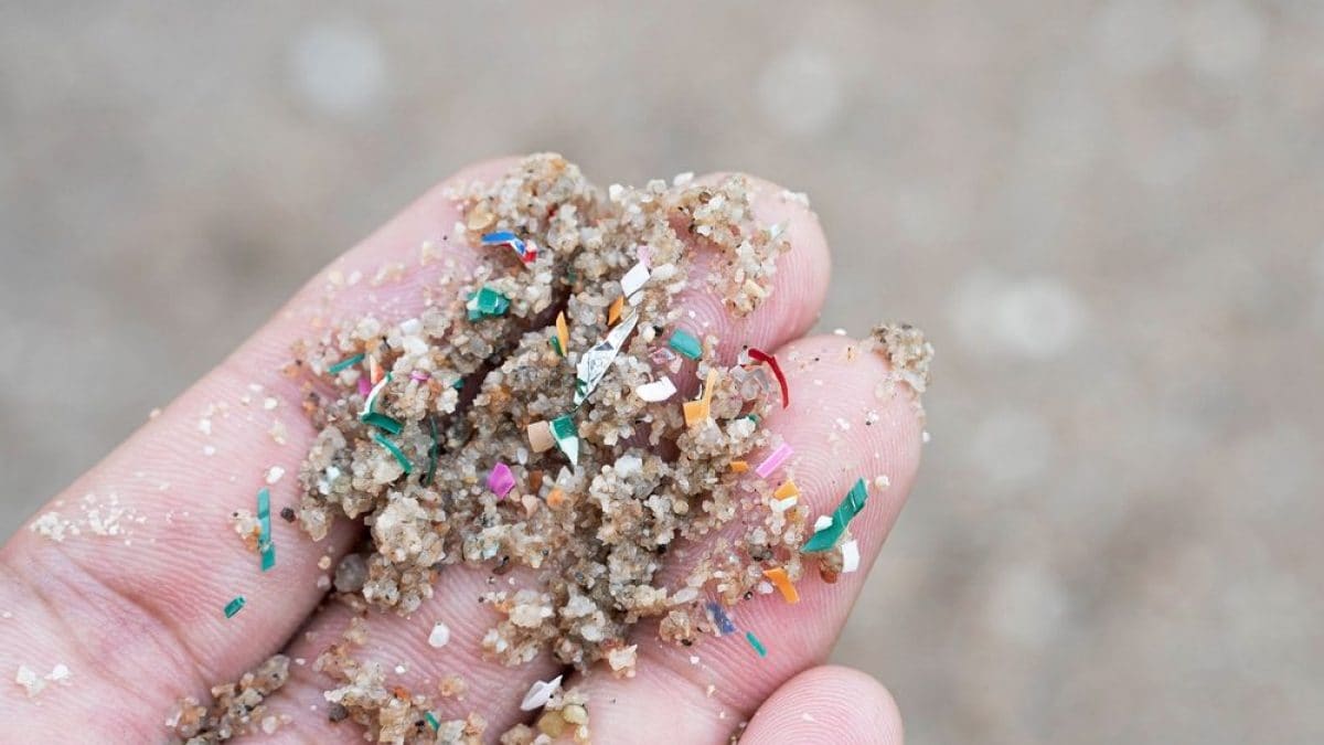 Microplastiche Nell'acqua: Dove Si Concentrano Di Più? Microplastiche Nell'acqua: Dove Si Concentrano Di Più?