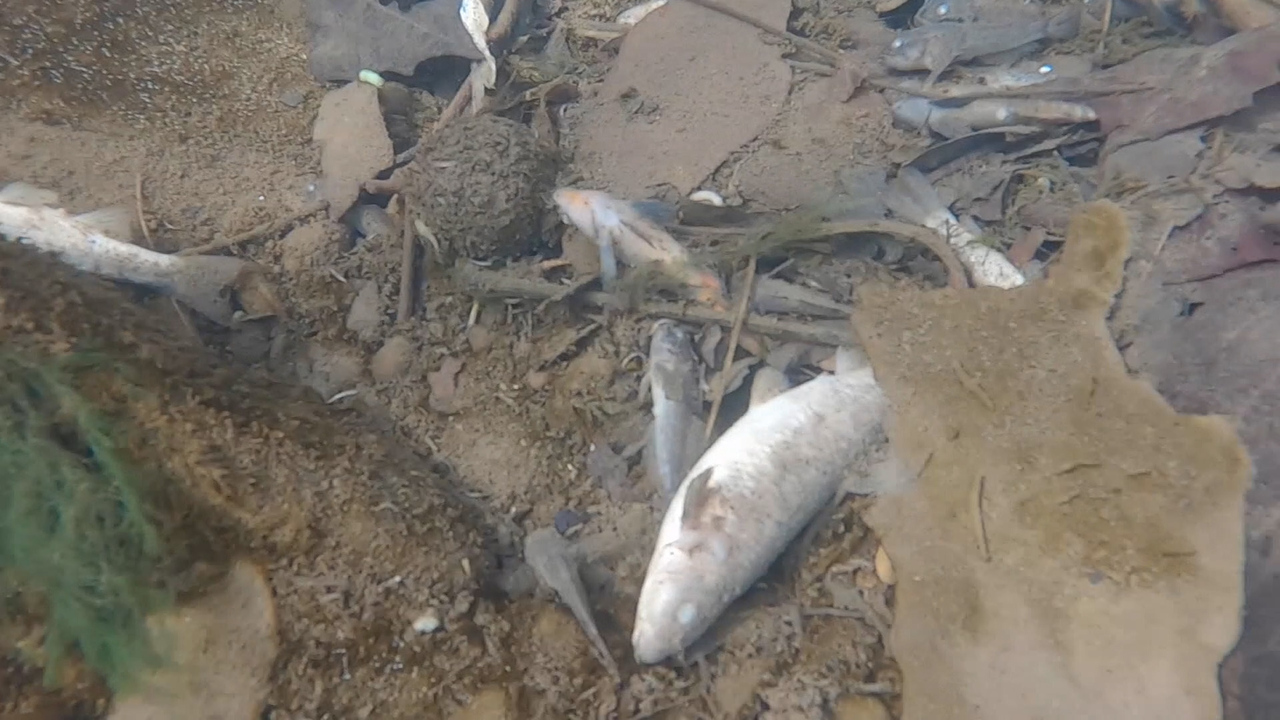 Months-Long Contamination: Toxic Chemical Residue From Ohio Train Derailment Months-Long Contamination: Toxic Chemical Residue From Ohio Train Derailment