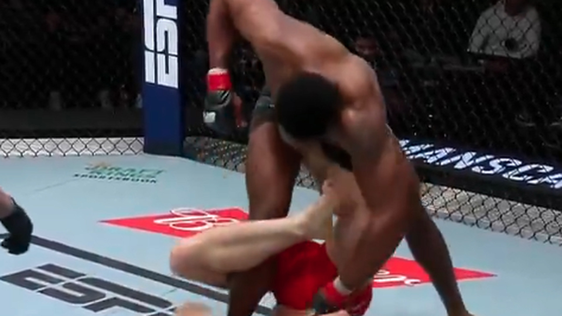 Morales' Devastating Victory At UFC Vegas 106: Expert Analysis Morales' Devastating Victory At UFC Vegas 106: Expert Analysis