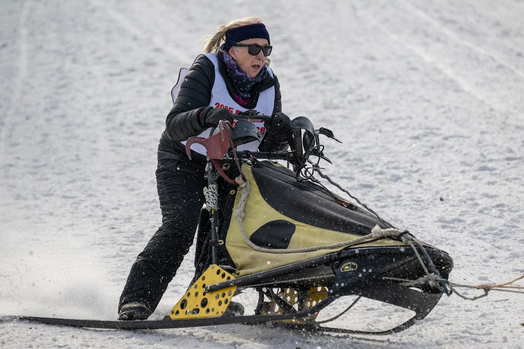 Mushers And Dogs Persevere Despite Shorter Fur Rondy Race Mushers And Dogs Persevere Despite Shorter Fur Rondy Race