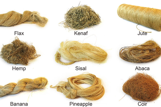 Natural Fiber Composites Market Research Report: Global Forecast To 2029 Natural Fiber Composites Market Research Report: Global Forecast To 2029