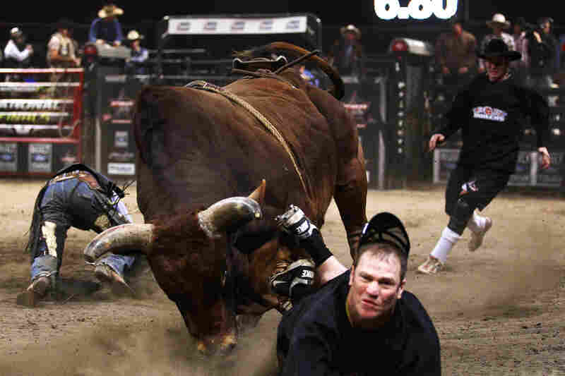 Neal McDonough Rides The Bulls In Neal McDonough Rides The Bulls In