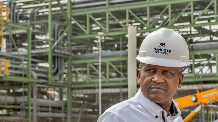 Nigeria's Petrol Prices: Examining The Roles Of Dangote And NNPC Nigeria's Petrol Prices: Examining The Roles Of Dangote And NNPC