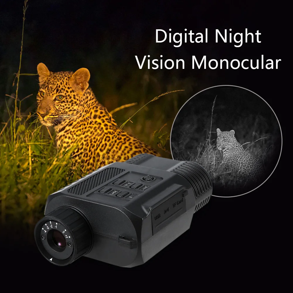 Night Hunter: A Comprehensive Guide To Nighttime Wildlife Observation Night Hunter: A Comprehensive Guide To Nighttime Wildlife Observation