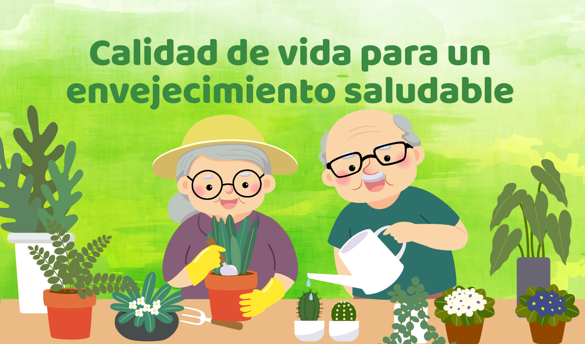 No Es El Arándano: Descubre El Superalimento Para Un Envejecimiento Saludable No Es El Arándano: Descubre El Superalimento Para Un Envejecimiento Saludable