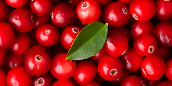 No Es El Arándano: Descubre El Superalimento Que Combate Enfermedades Crónicas No Es El Arándano: Descubre El Superalimento Que Combate Enfermedades Crónicas